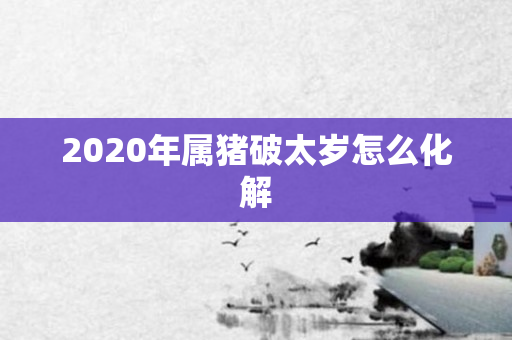 2020年属猪破太岁怎么化解