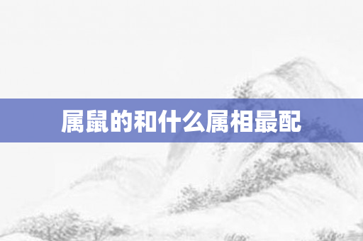 属鼠的和什么属相最配