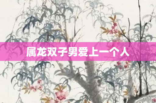 属龙双子男爱上一个人
