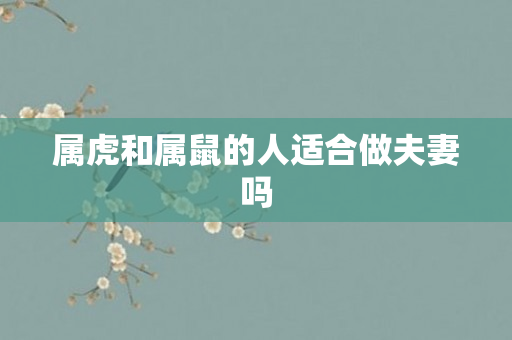 属虎和属鼠的人适合做夫妻吗