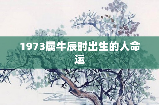 1973属牛辰时出生的人命运