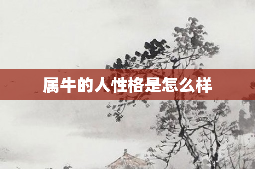 属牛的人性格是怎么样