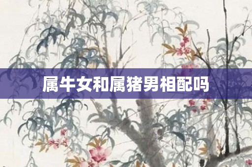 属牛女和属猪男相配吗