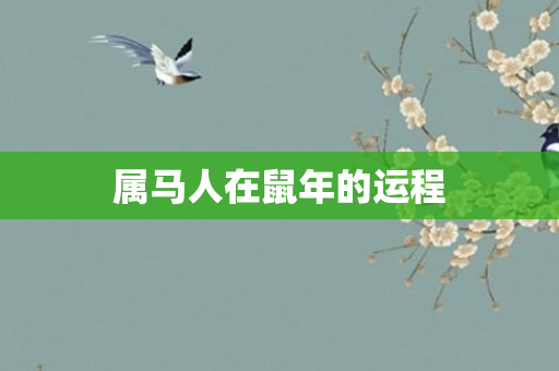 属马人在鼠年的运程