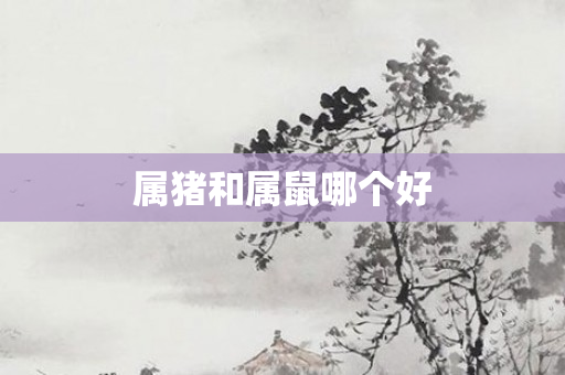 属猪和属鼠哪个好