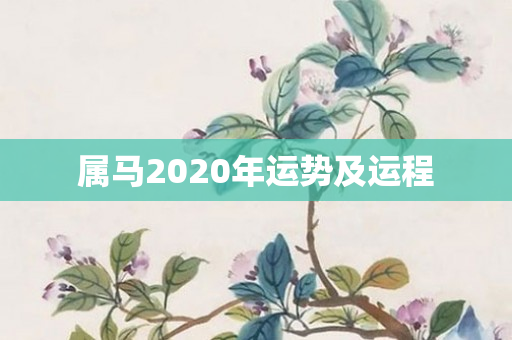属马2020年运势及运程
