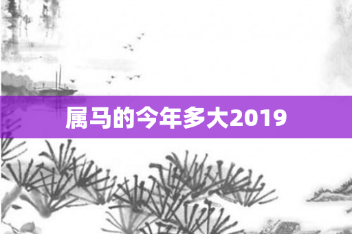 属马的今年多大2019