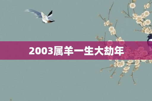 2003属羊一生大劫年