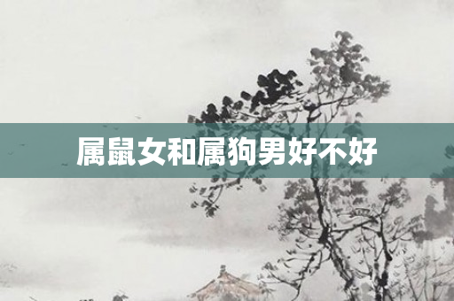 属鼠女和属狗男好不好