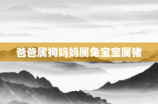 爸爸属狗妈妈属兔宝宝属猪