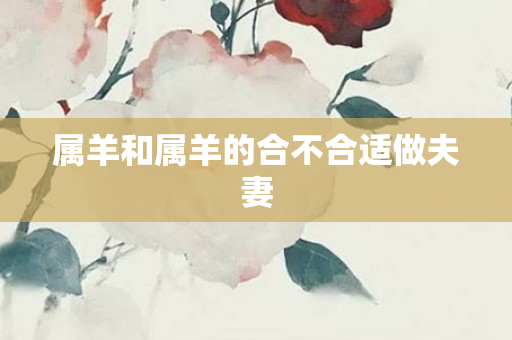 属羊和属羊的合不合适做夫妻