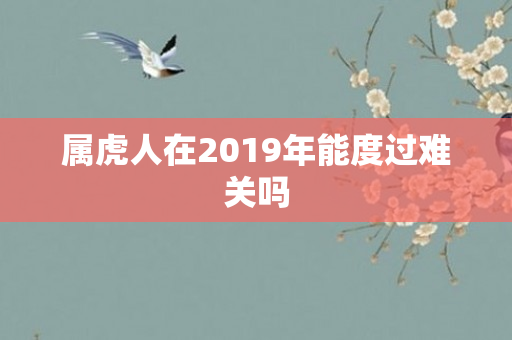 属虎人在2019年能度过难关吗
