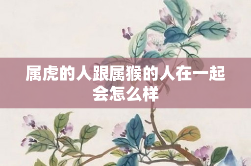 属虎的人跟属猴的人在一起会怎么样