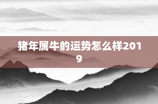 猪年属牛的运势怎么样2019