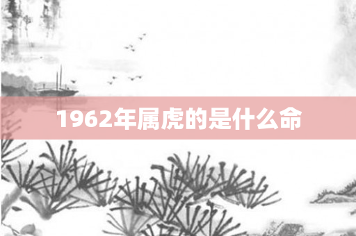 1962年属虎的是什么命