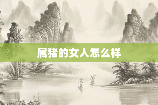 属猪的女人怎么样