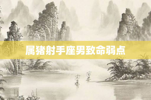 属猪射手座男致命弱点
