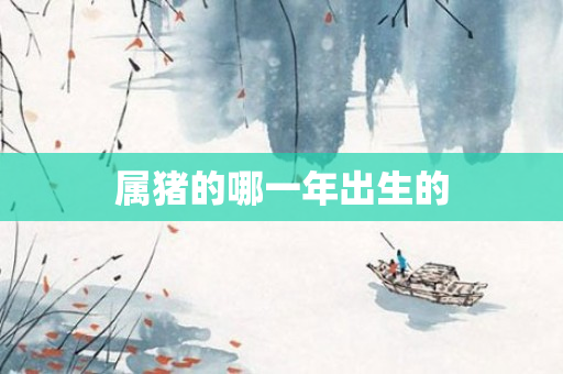 属猪的哪一年出生的
