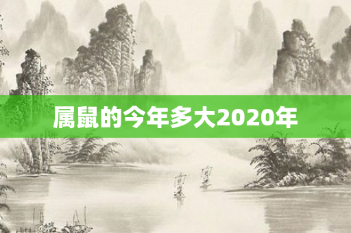 属鼠的今年多大2020年