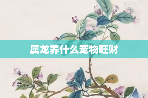 属龙养什么宠物旺财