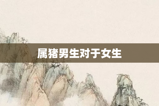 属猪男生对于女生