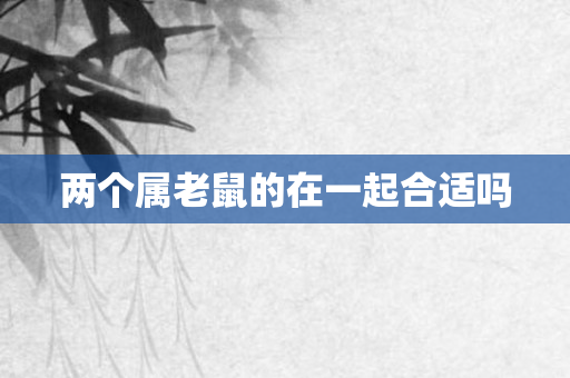 两个属老鼠的在一起合适吗