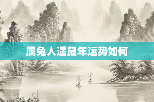 属兔人遇鼠年运势如何