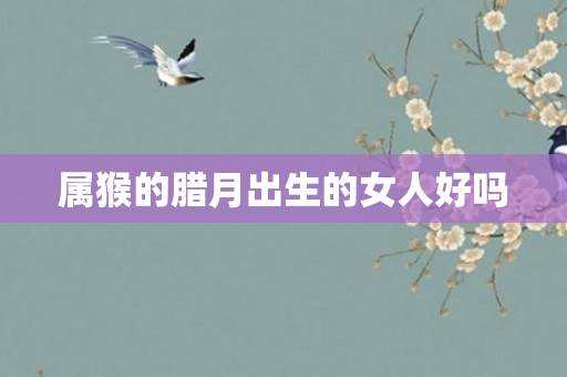 属猴的腊月出生的女人好吗