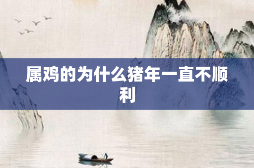 属鸡的为什么猪年一直不顺利