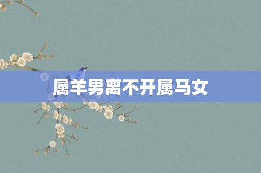 属羊男离不开属马女