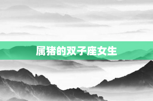 属猪的双子座女生