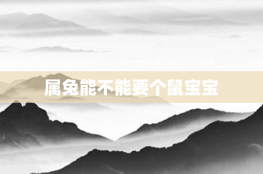 属兔能不能要个鼠宝宝