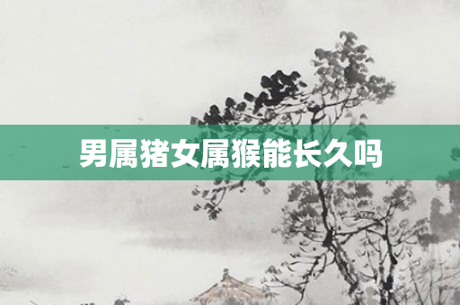 男属猪女属猴能长久吗