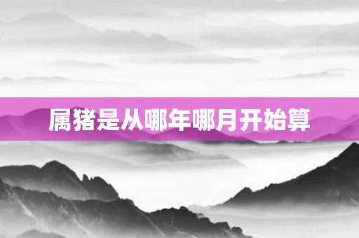 属猪是从哪年哪月开始算