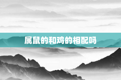 属鼠的和鸡的相配吗