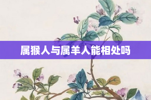 属猴人与属羊人能相处吗