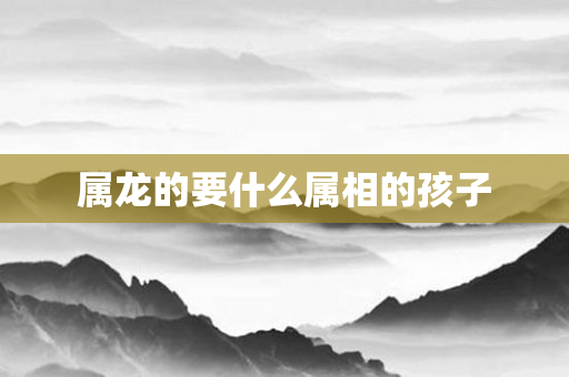 属龙的要什么属相的孩子