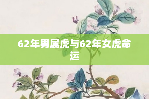 62年男属虎与62年女虎命运