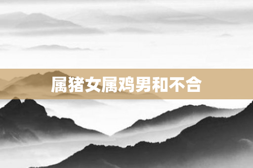 属猪女属鸡男和不合
