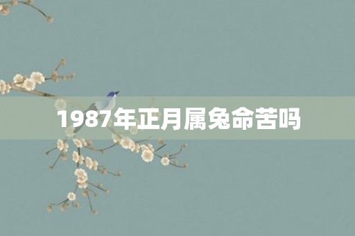 1987年正月属兔命苦吗