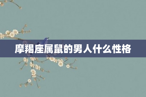 摩羯座属鼠的男人什么性格
