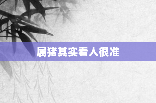 属猪其实看人很准