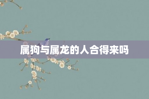 属狗与属龙的人合得来吗