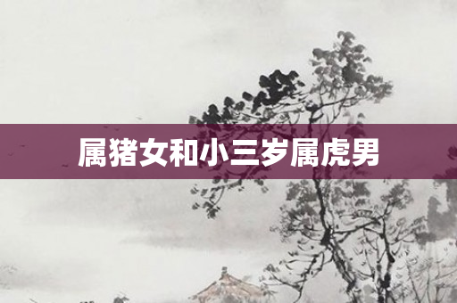 属猪女和小三岁属虎男