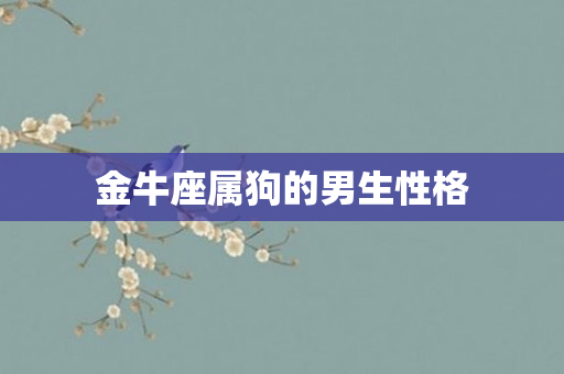 金牛座属狗的男生性格