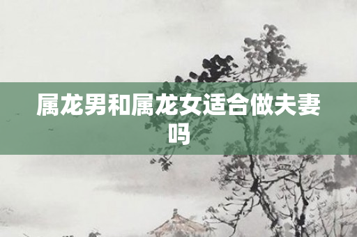 属龙男和属龙女适合做夫妻吗