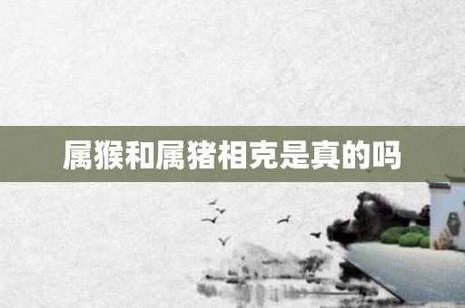 属猴和属猪相克是真的吗