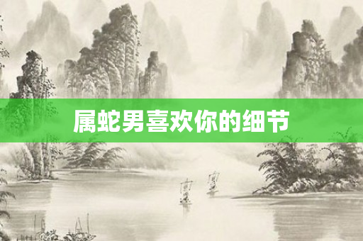 属蛇男喜欢你的细节