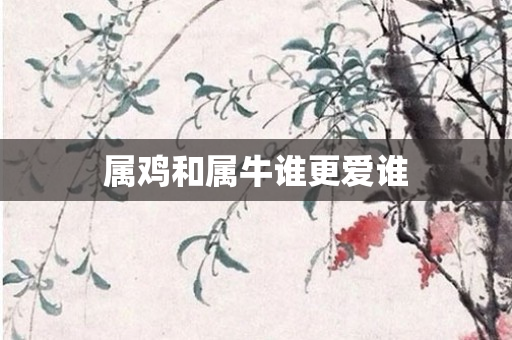 属鸡和属牛谁更爱谁