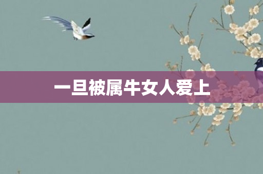 一旦被属牛女人爱上
